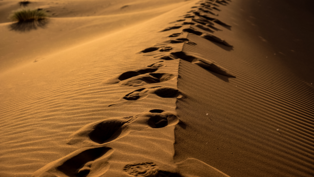 Footprints trailing across a sandy desert dune.