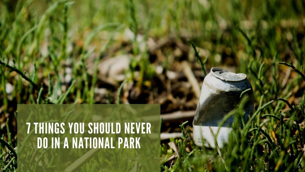 Discarded can polluting national park grass.