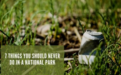 7 Things You Should Never Do in a National Park
