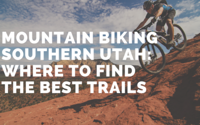 Our Favorite Mountain Biking Trails in Utah