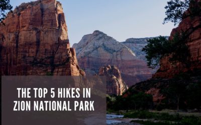 The Top 5 Hikes in Zion National Park