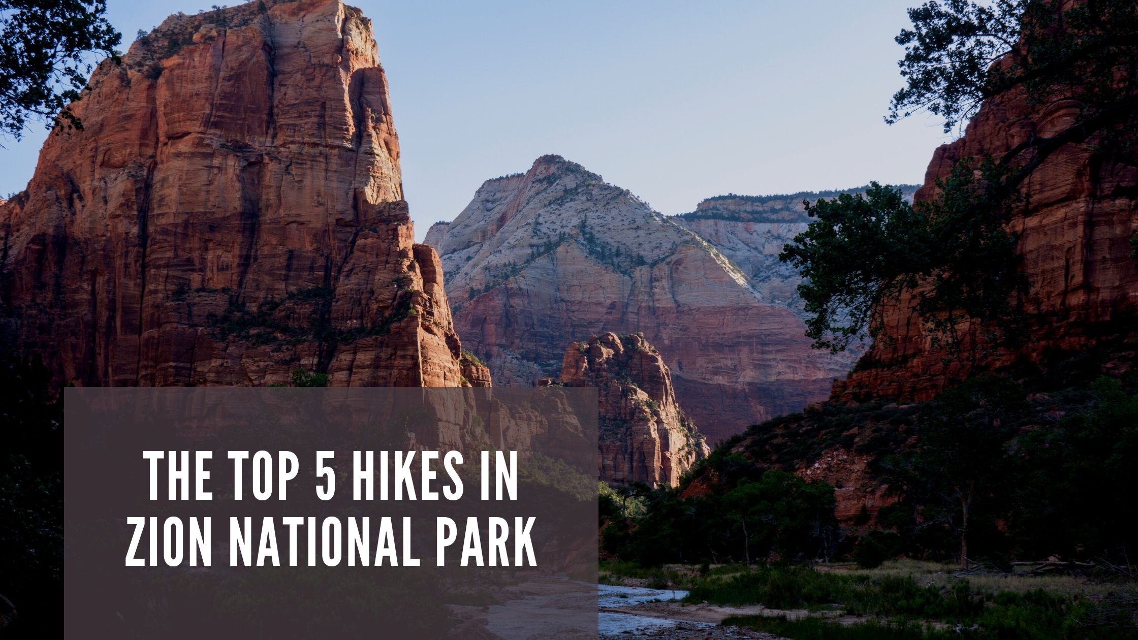Top 5 MustDo Hikes in Zion National Park
