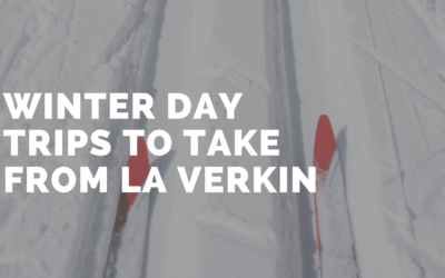 Winter Day Trips to Take From La Verkin