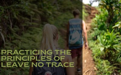 Protect Zion National Park: Leave No Trace Tips