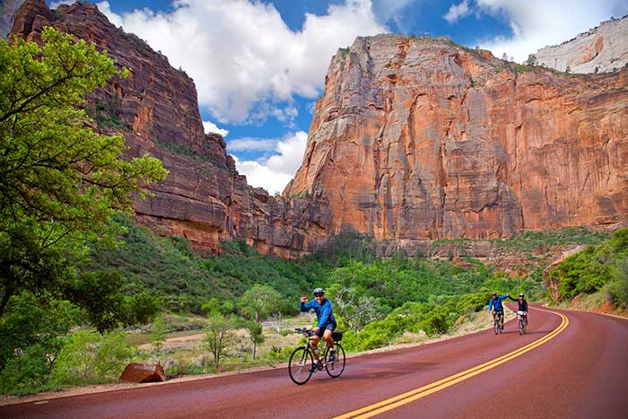 Cyclists on scenic mountain road in Zion National Park