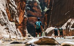 zionhikingcropped-scaled
